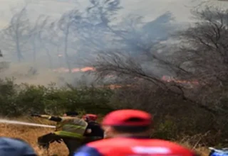 Bornova Gökdere’de yangınla mücadele sürüyor