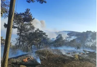 Büyükşehir ekiplerinden Akhisar’daki yangına müdahale