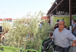 Büyükşehir’den 19 ilçeye 40 bin zeytin fidanı desteği