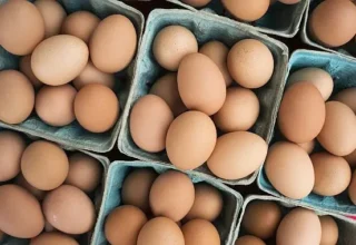 DFİF kesintisi kalktı, yumurta ihracatçısı rahatladı