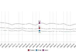 Mevsim etkisinden arındırılmış işsizlik oranı yüzde 8,6 seviyesinde gerçekleşti