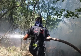 Büyükşehir, Karamürsel yangını için seferberlik ilan etti