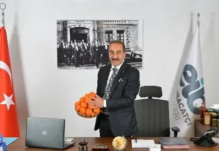 Ege Bölgesi Narenciye Rekoltesi 449 bin ton