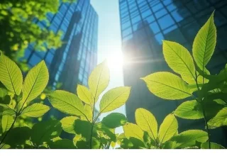 Hitit, İlk Sürdürülebilirlik Raporunu Yayınladı