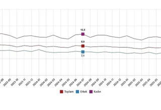 İşgücü İstatistikleri, Temmuz 2025