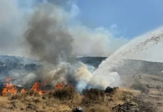 İzmir İtfaiyesi kentsel ve kırsal yangınlarla mücadele ediyor