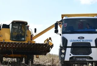 Lüleburgaz Belediyesi’nden ayçiçeği hasadı