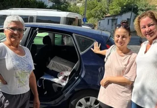 Narlıdere Belediyesi’nden minik dostlar için seferberlik