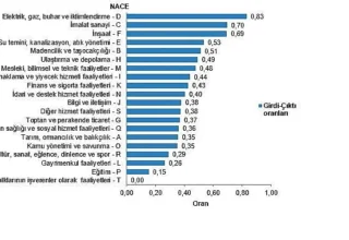 Arz ve Kullanım Tabloları, Girdi-Çıktı Tabloları, 2023