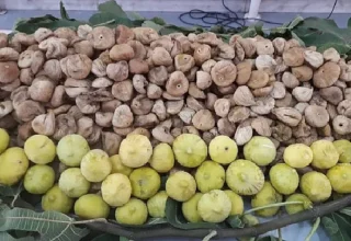 Kuru incirin ihracat yolculuğu 15 Ekim’de başlayacak