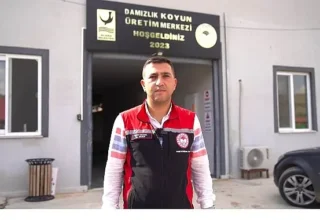 Aliağa’da Üreticiye Destek Sürüyor: Hibeli Koyun ve Koçlar Üreticilere Teslim Edildi