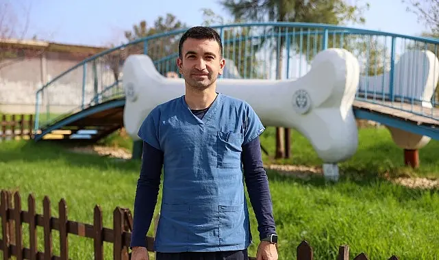 Buca’da 3 bin 54 sokak kedisi kısırlaştırıldı