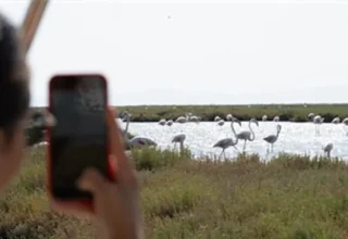 Doğa ve lezzet tutkunları bu turları çok sevecek