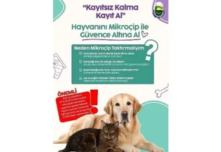 İnegöl Belediyesi’nden Evinde Kedi-Köpek Besleyenlere Mikroçip Uyarısı