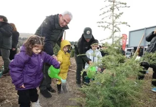 OGM, Milli Ağaçlandırma Günü için tüm hazırlıkları tamamladı